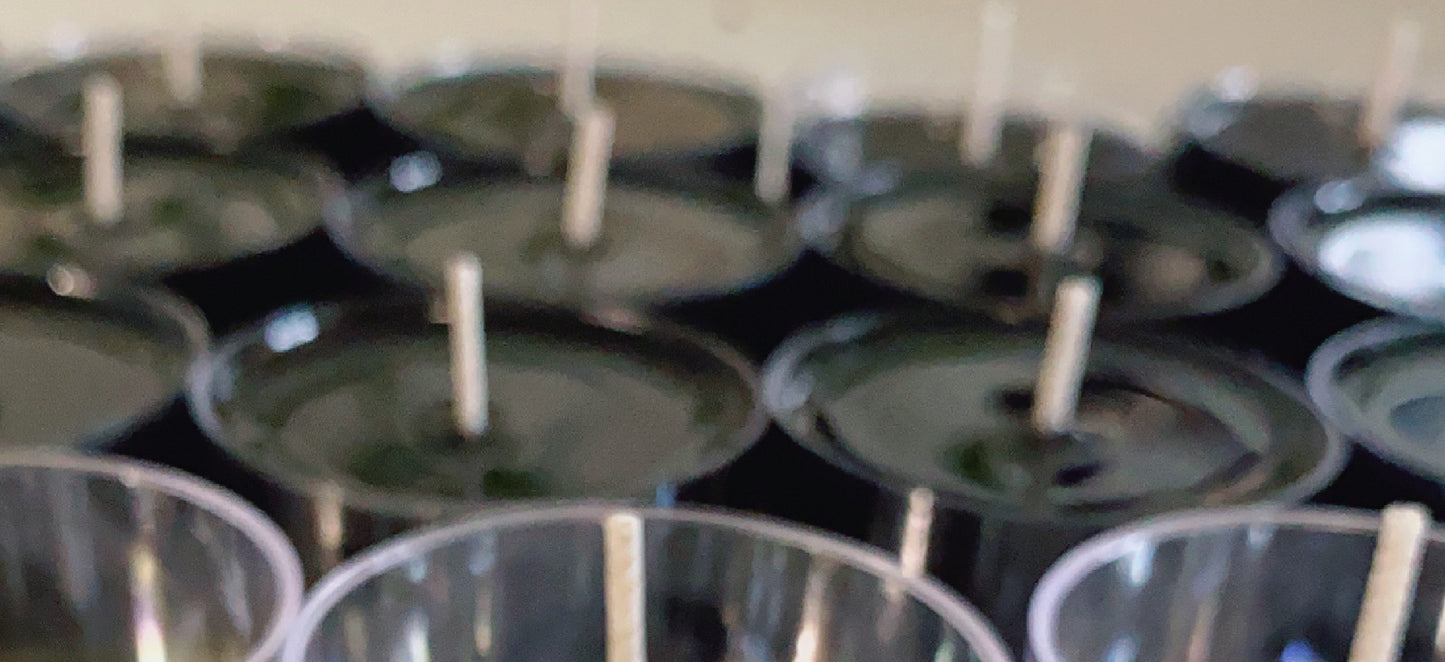 A close-up, softly focused image shows several rows of CeeCee Candle Company Soy Wax Tea Light Candles with white wicks, viewed from above. The eco-friendly candles' edges and surfaces appear slightly blurred.